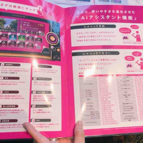 ビッグエコーの高級タイプ Vi Go マイクが可愛い おいしいグルメ ランチを食べて幸せ 元気になろう