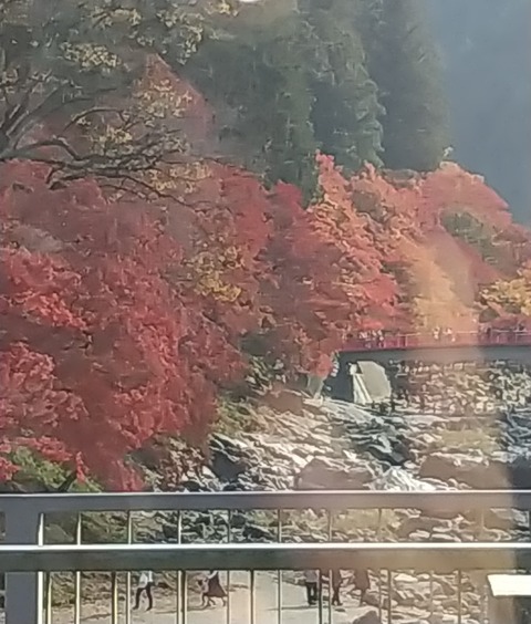 香嵐渓もみじ狩り