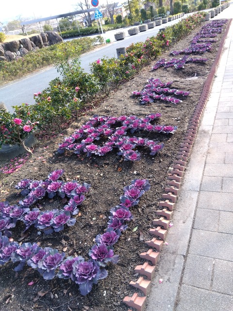 IMG_2023-12-24-13-24-42-132