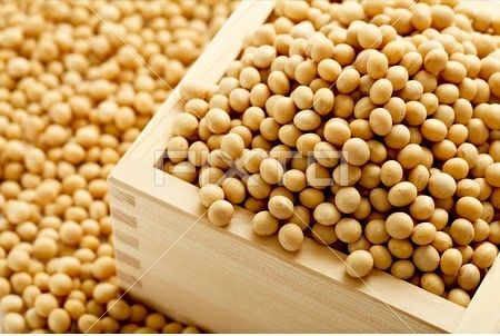 寝たきりでも筋肉が増えるスーパーフードは大豆