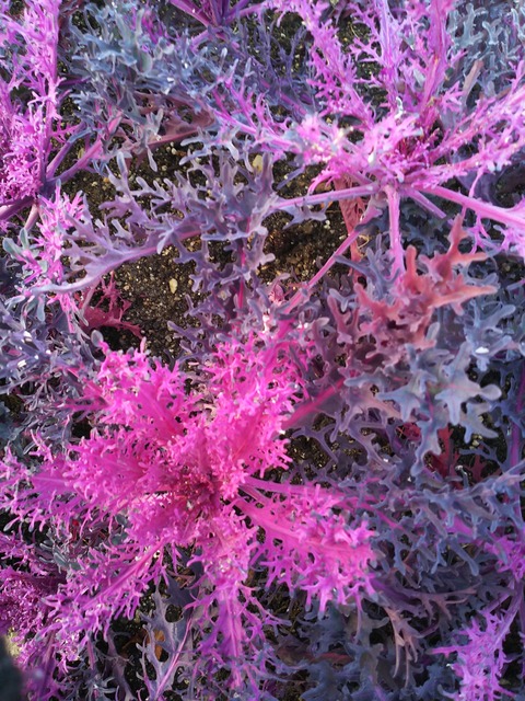 メンタルヘルスの衛藤さん。