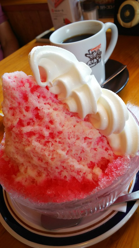 こどもおぢばがえり