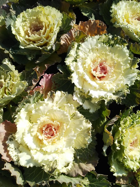 空気感染は、本当にヤバい。