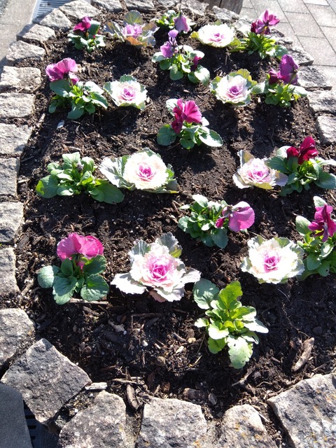 IMG_2023-12-24-13-23-34-472