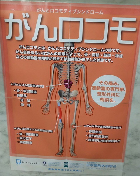 がんロコモと、ターミナルケア