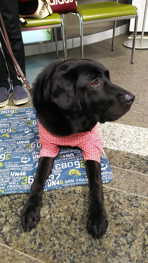 ゼウスと共に。