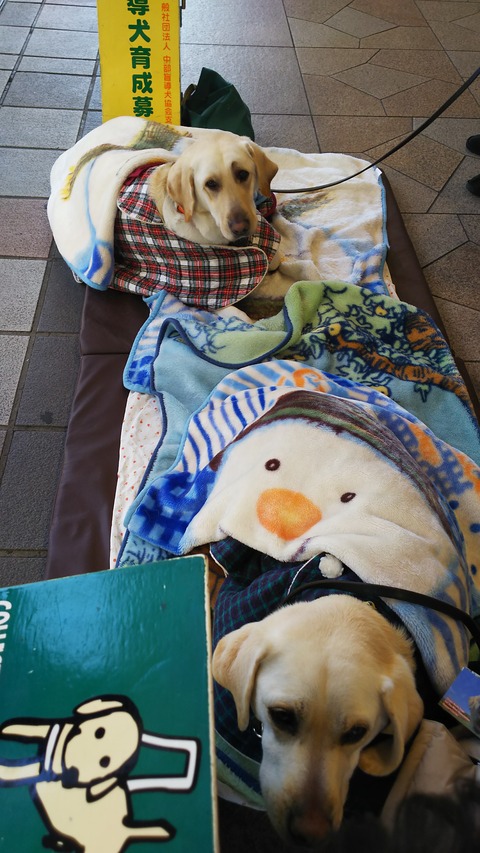 婦人会の前に、ちょこっと立ち寄り。