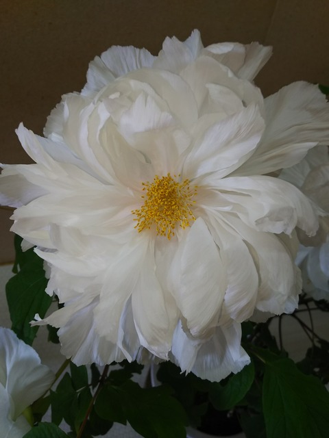 五つの幸せチェック 何気ない一日が笑顔を見せる時…