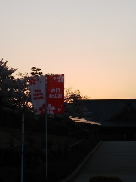 朝は花がきれい。