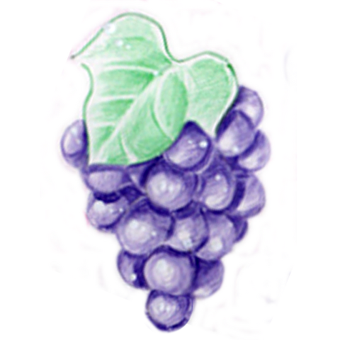 支部婦人会・おとくつみ隊・うらら会