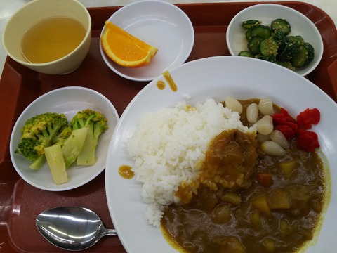 日曜日のカレーは、３人で。星野源さん【うちで踊ろう】