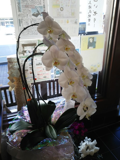 ２つのお仕事、仕事納め。にわとり食堂も、私は今年の食べ納め。