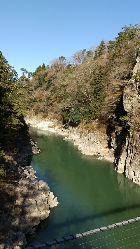 我が家のgotoトラベル