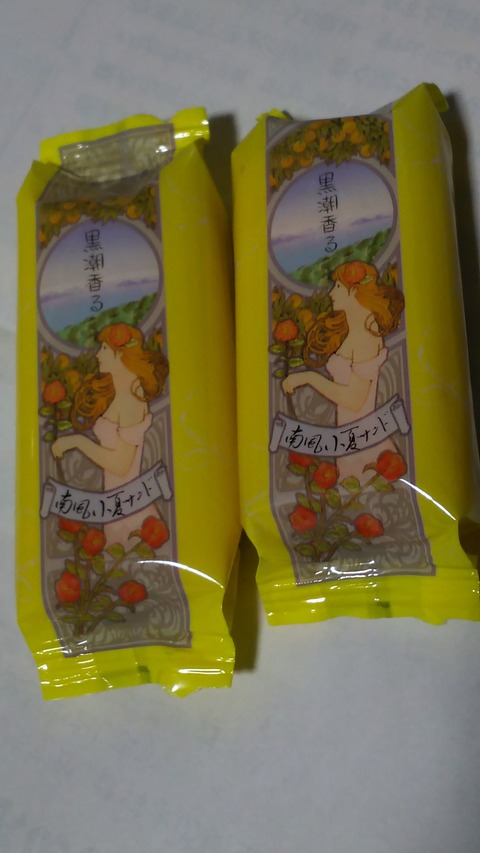 放射線19回目&婦人会例会