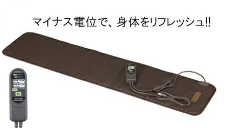 はたして正座は体に善いのか悪いのか。