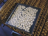 繭