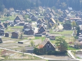 展望台から