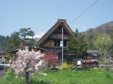 和田家