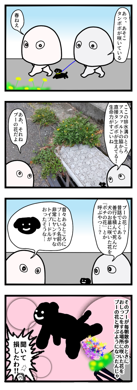 アスファルトに咲く花のように