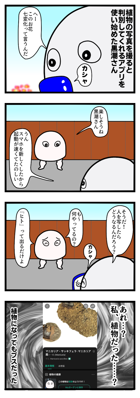 単子葉植物綱ヤシ科