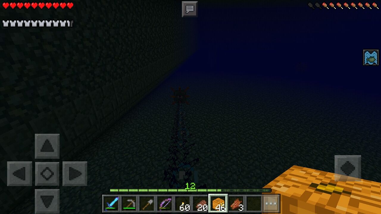 その92 海底神殿突入 たけろぐ Minecraft部