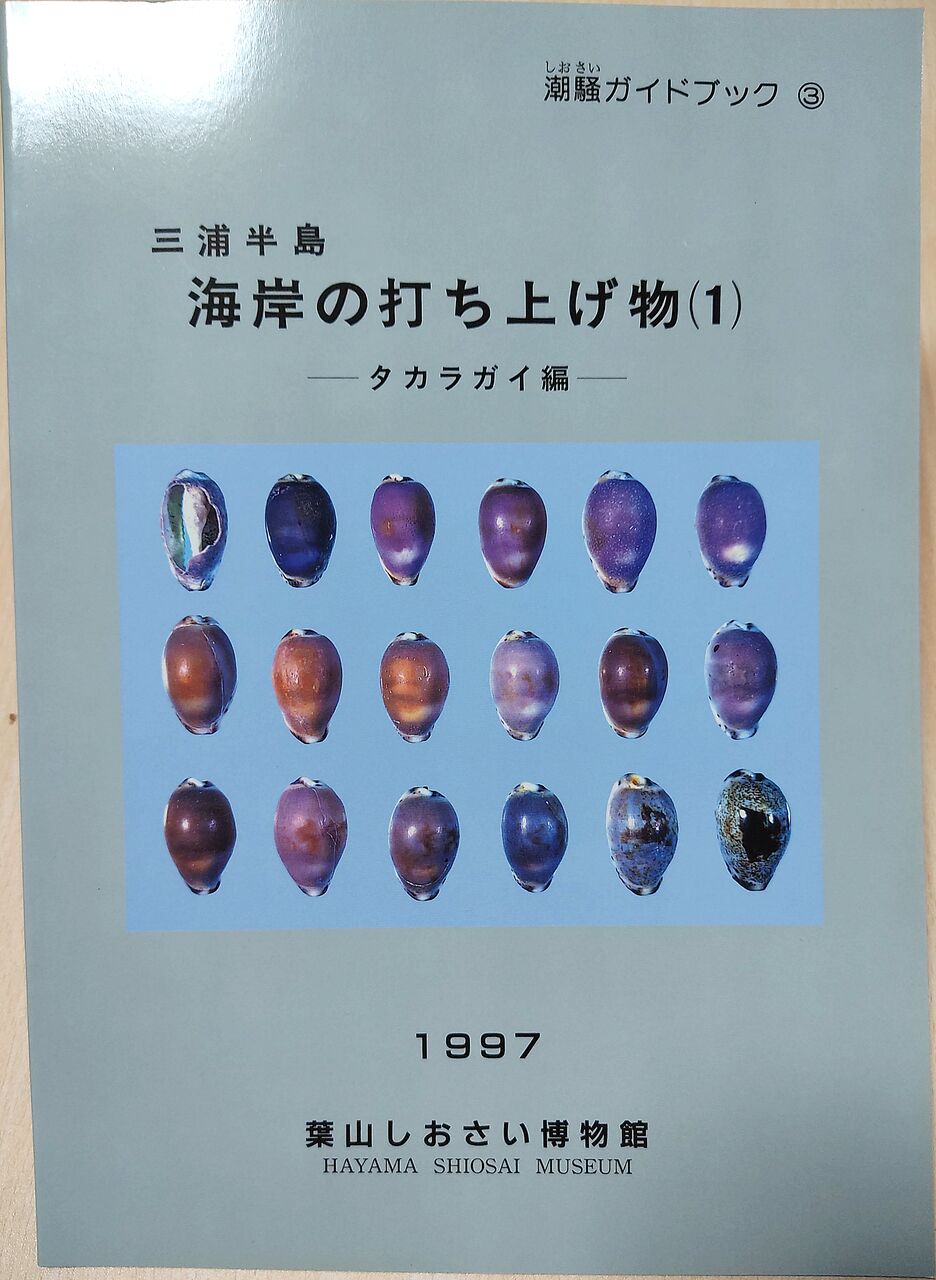 ローカル本でも読んでみようか 神奈川県 たけろぐ ローカル本でも読んでみようか 神奈川県 たけろぐ