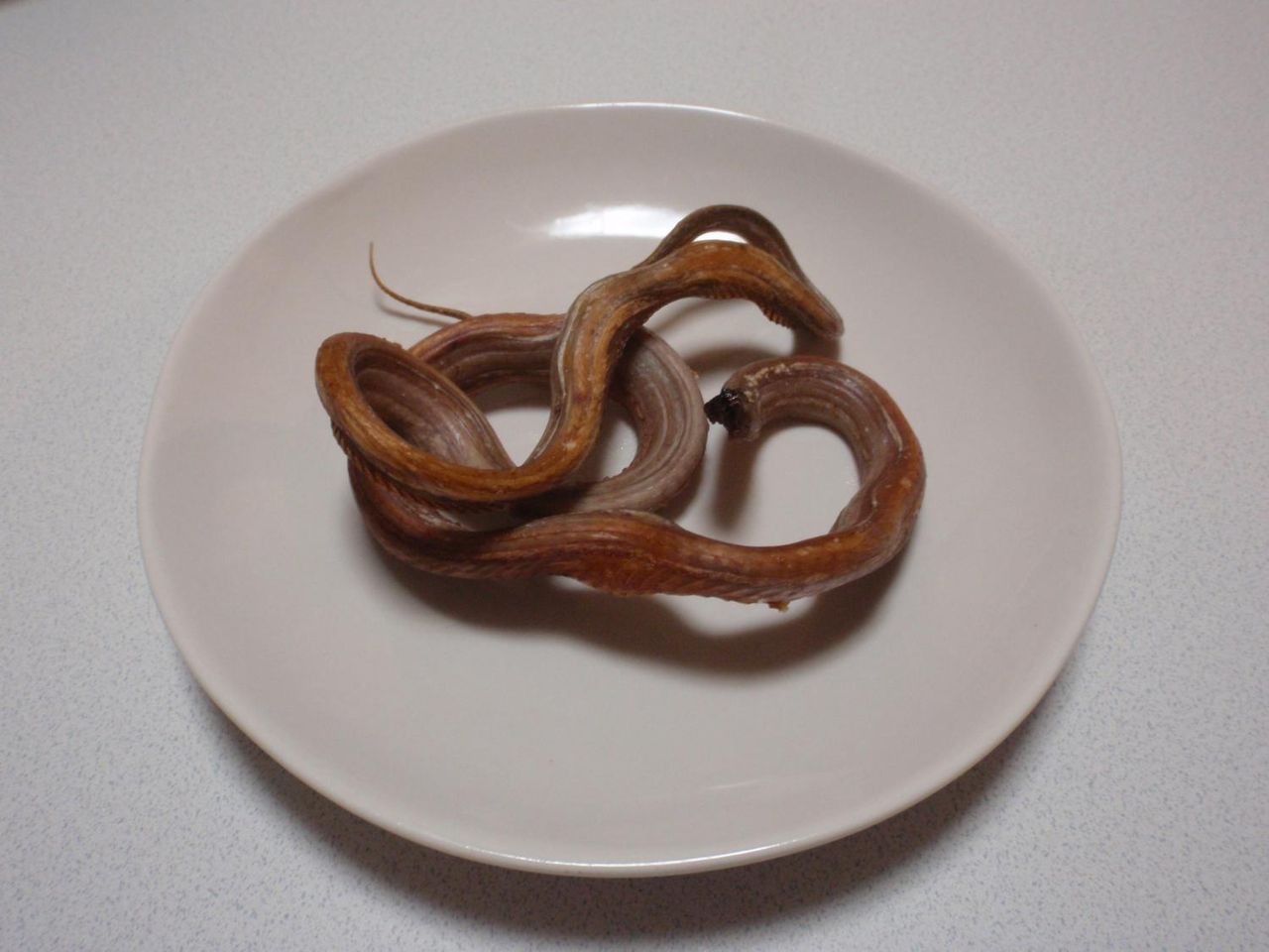 自然を食べよう7 ヘビ編 たけろぐ 自然を食べよう7 ヘビ編 たけろぐ