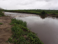 P8200612_chiten1