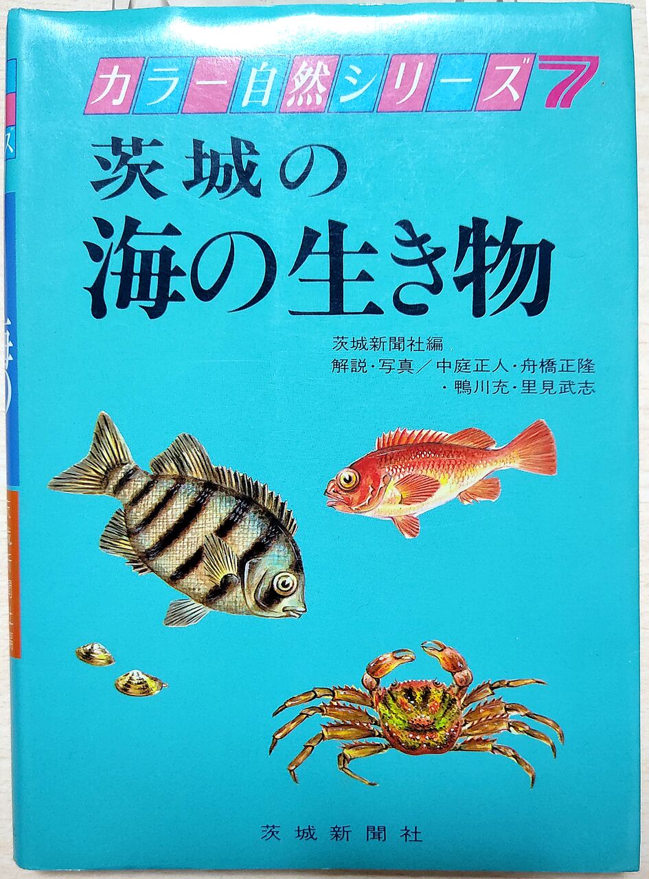たけろぐ たけろぐ