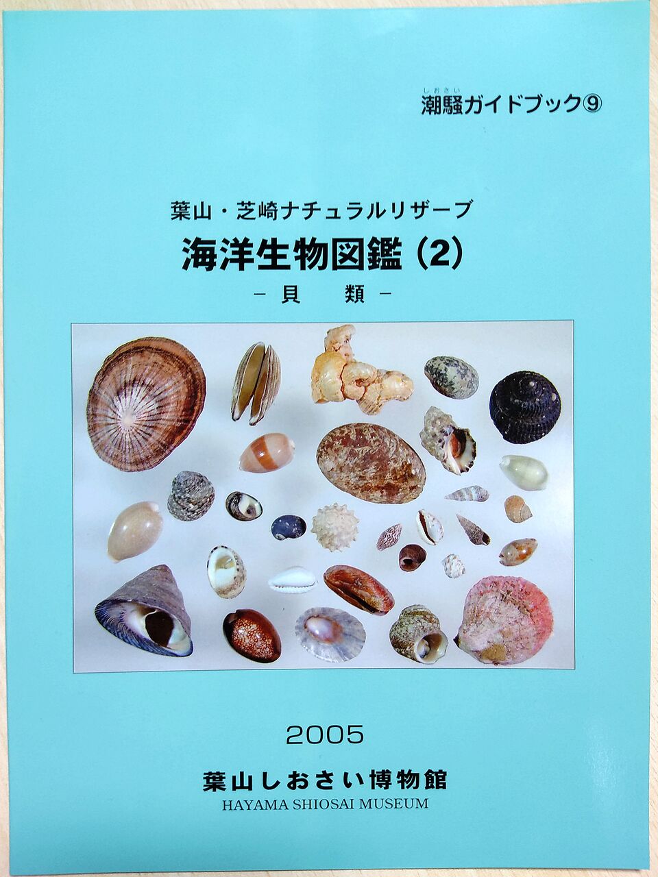ローカル本でも読んでみようか 26 神奈川県 たけろぐ ローカル本でも読んでみようか 26 神奈川県 たけろぐ