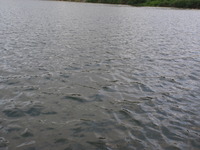 P8050066_chiten1