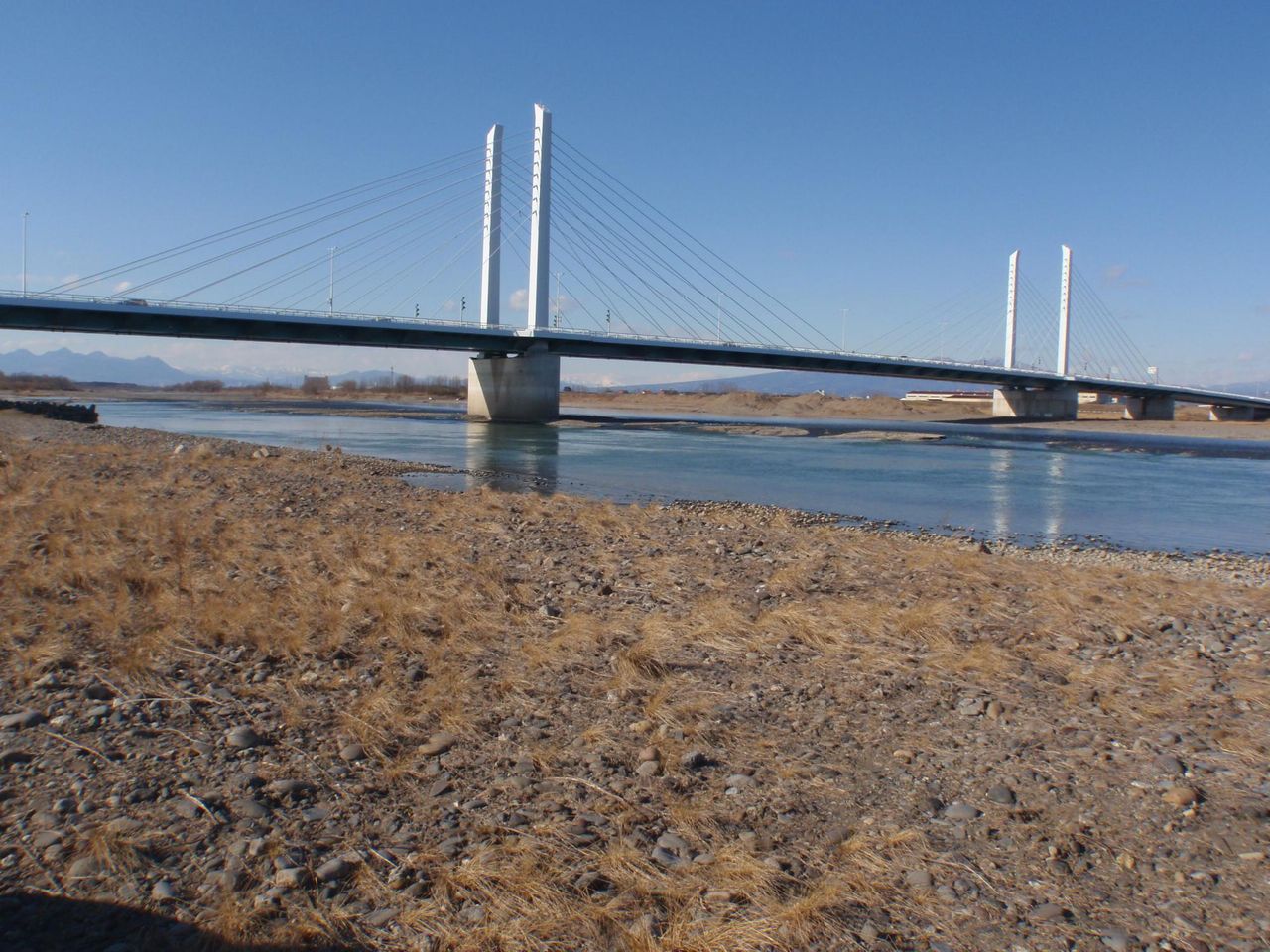 2月19日 川採集 たけろぐ 2月19日 川採集 たけろぐ