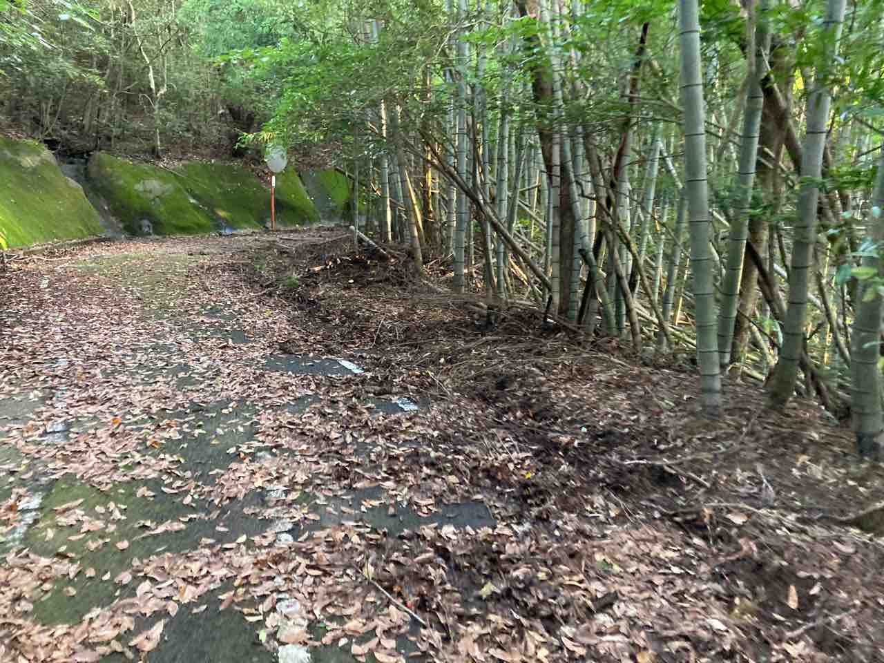 野母崎サイクリングロードを歩く キティの遊ら湯ら散歩道