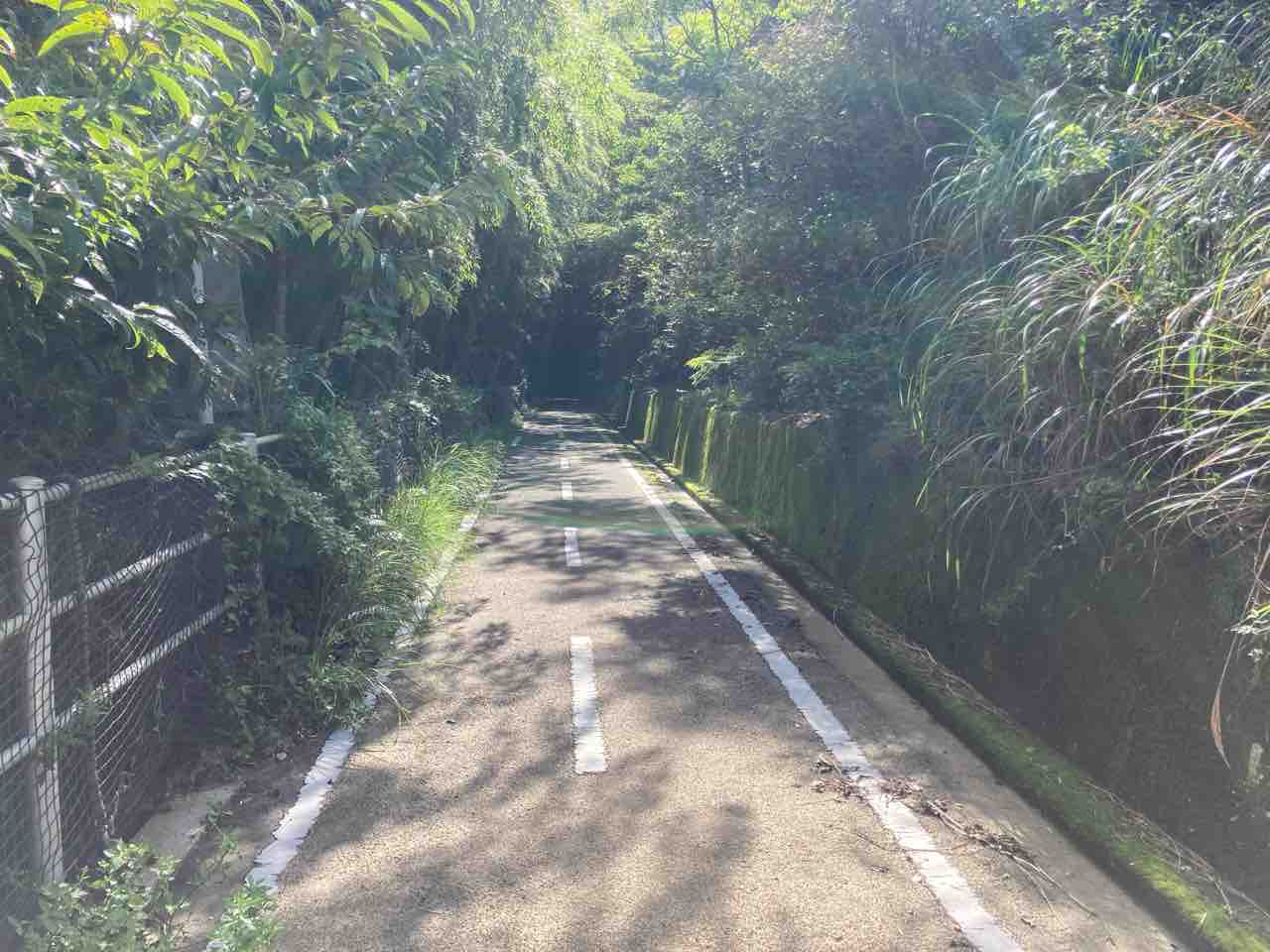 野母崎サイクリングロードを歩く キティの遊ら湯ら散歩道 野母崎サイクリングロードを歩く キティの遊ら湯ら散歩道