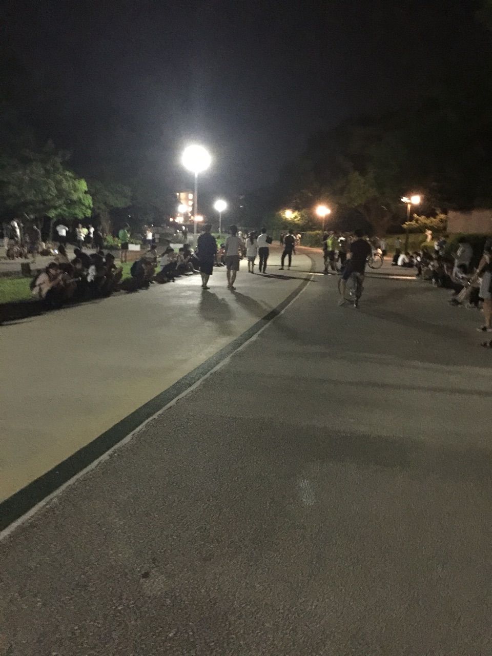 ウォーキングしながらポケモンgoでピカチュウに逢えた キティの遊ら湯ら散歩道
