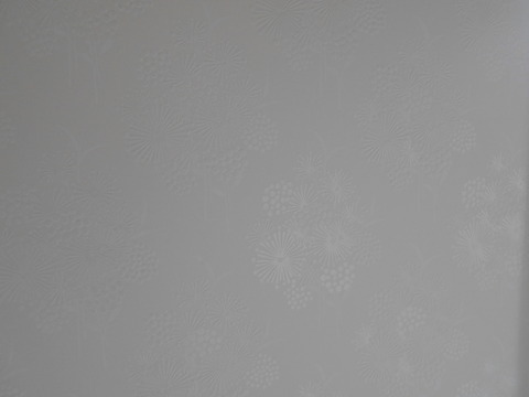 DSCN1525