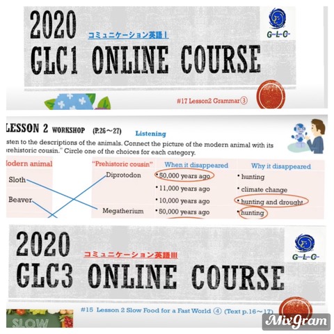 Online Course