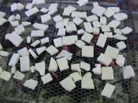 CIMG0845