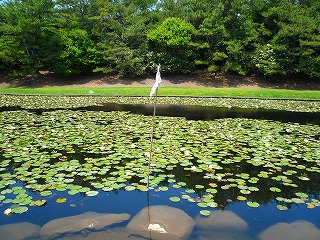 2010_0530_110625-P1070974