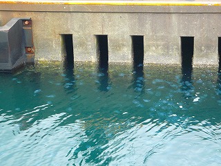 1b61f95f.jpg