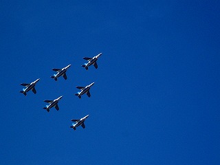 2a635f87.jpg