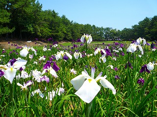2010_0530_110201-P1070962