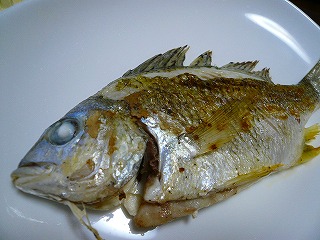 87f420c1.jpg
