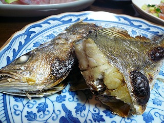 9627b88f.jpg