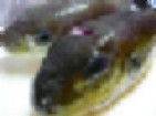 9d129f26.jpg