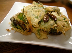 c978f8f1.jpg