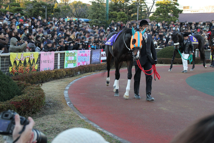 hokko-tarumae