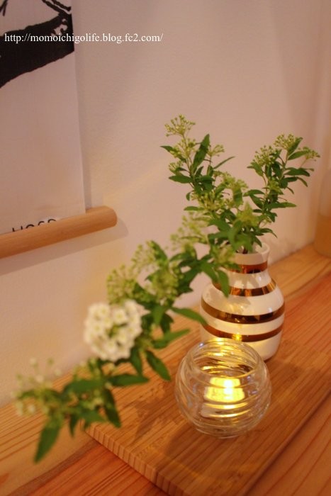 20150316_9.jpg
