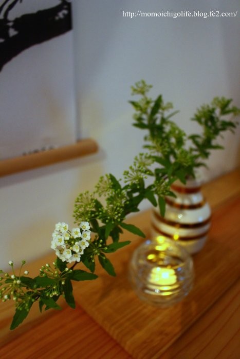 20150316_1.jpg