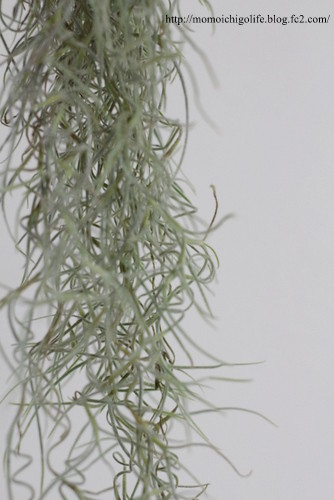 20140629_1.jpg